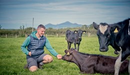 The impact of your team on your personal effectiveness